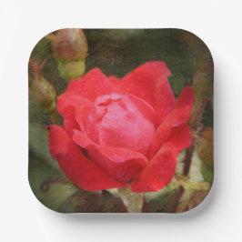 Rood, rode roze papieren bordje