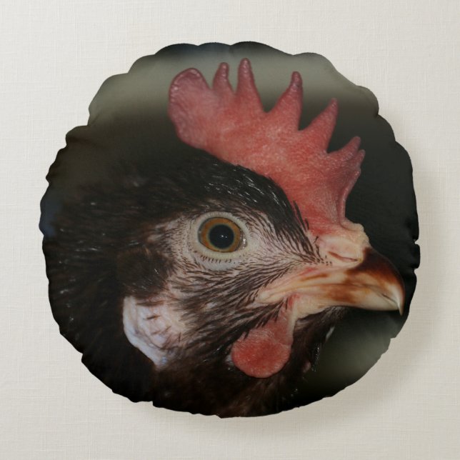 Rood Rond Kussen (Voorkant)