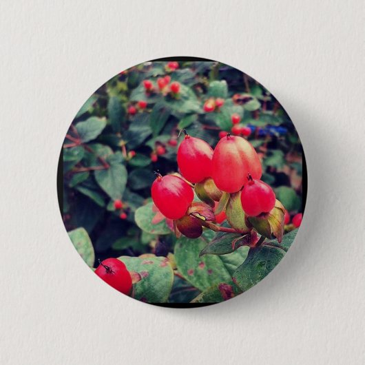 Rood Ronde Button 5,7 Cm (Voorkant)