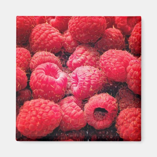 Rood rood magneet (Voorkant)