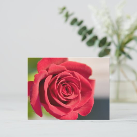 Rood, rood, roos briefkaart (Staand voorkant)