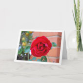 Rood Rose Portret Kaart (Voorkant)