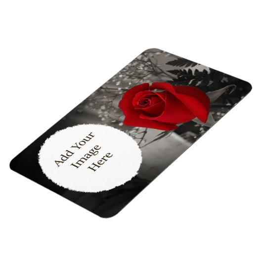 Rood Rose Zwart-wit Ovaal Lijst Magneet (Linkerzijde)