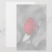 Rood Rosebud Briefpapier (Voorkant / Achterkant)