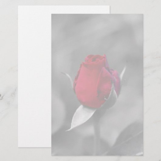 Rood Rosebud Briefpapier (Voorkant / Achterkant)