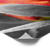 Rood Rosebud Partial Color Mirror Abstract Poster (Hoek)