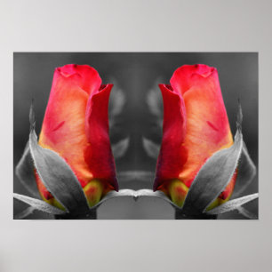 Rood Rosebud Partial Color Mirror Abstract Poster