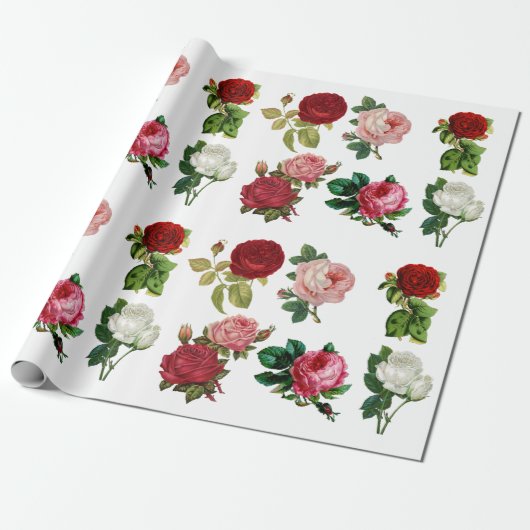 rood roze en wit rozenpapier cadeaupapier (Uitgerold)