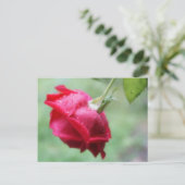 Rood roze met waterdruppelaar briefkaart (Staand voorkant)