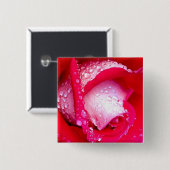 Rood/Roze Roos met dauwkusten Vierkante Button 5,1 Cm (Voorkant /achterkant)