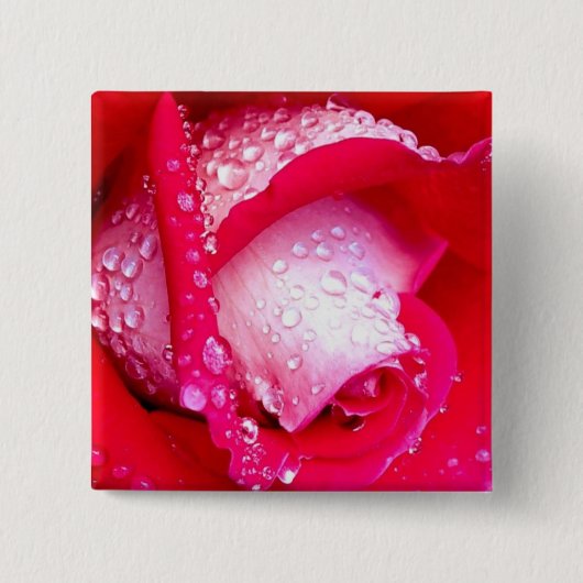 Rood/Roze Roos met dauwkusten Vierkante Button 5,1 Cm (Voorkant)