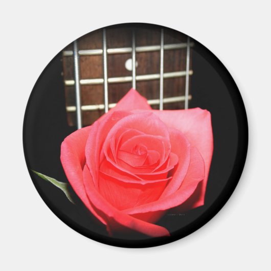 Rood roze roos tegen vijf snaren bas fret board magneet (Voorkant)