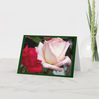 Rood roze roze notitiekaarten