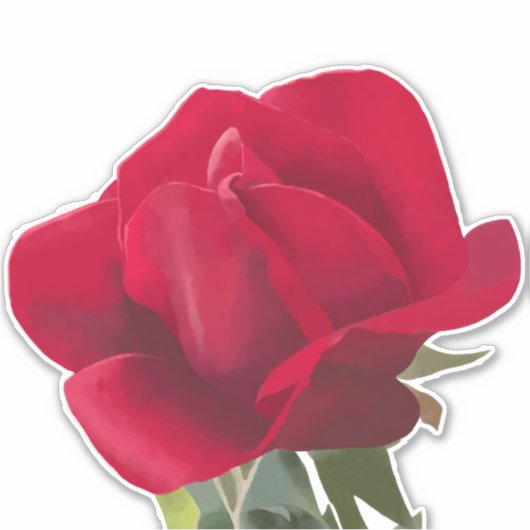 Rood roze vierkant - Red rose Sticker (Voorkant)