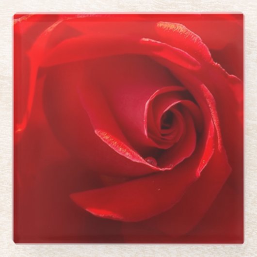 Rood rozenglas Onderzetter (Voorkant)