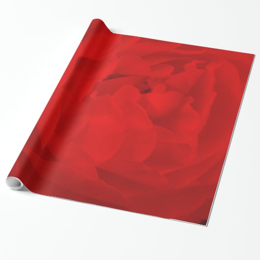 Rood rozenpapier cadeaupapier (Uitgerold)