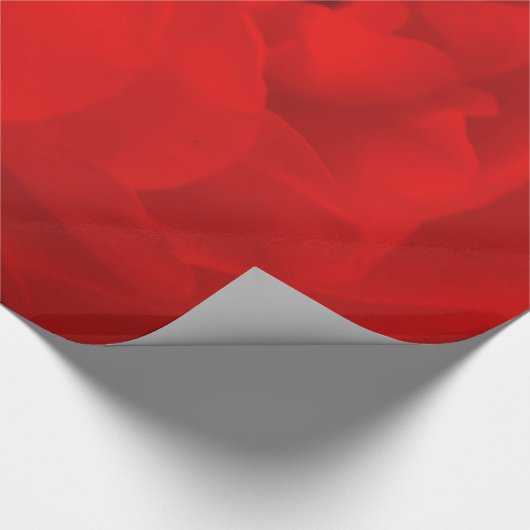 Rood rozenpapier cadeaupapier (Hoek)