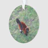 Rood Ruffed Lemur #1-1 Ornament (voorkant)