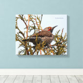 Rood-Shafted Northern Flicker in een boom Canvas Afdruk (Insitu (Houten vloer))