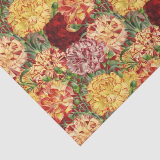 rood Sinaasappel en goud Ruffled Anjers Tissuepapier (Detail)