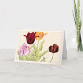  rood Sinaasappel en roze tulpen botanische kunstk Bedankkaart (Voorkant)