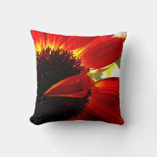 Rood Sinaasappel Gerbera Daisy Foto Modern Bold St Kussen
