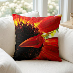 Rood Sinaasappel Gerbera Daisy Foto Modern Bold St Kussen