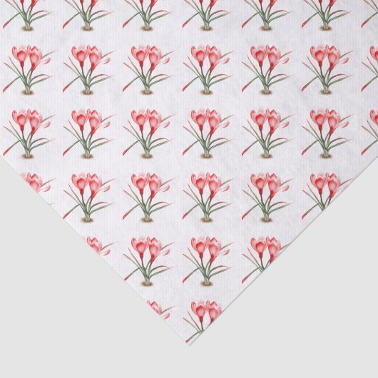Rood sinaasappel Krokus waterverf Art tissuepapier (Detail)