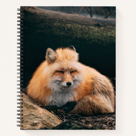 Rood slipje notitieboek (Voorkant)
