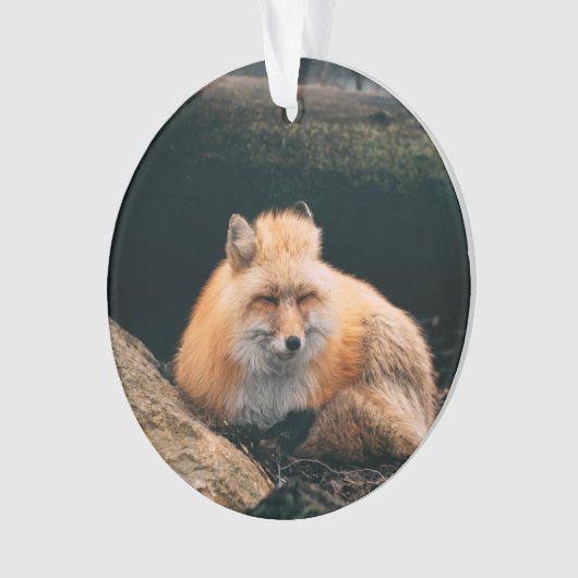 Rood slipje ornament (voorkant)