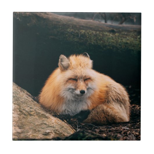Rood slipje tegeltje (Voorkant)