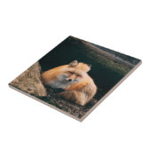 Rood slipje tegeltje (Zijkant)