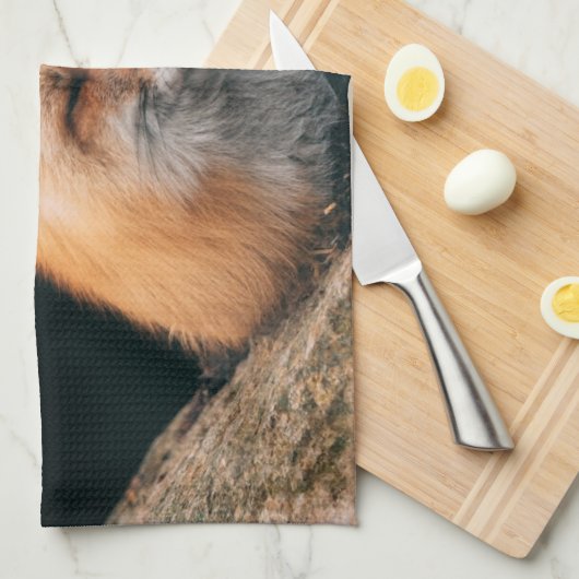 Rood slipje theedoek (Quarter Fold)