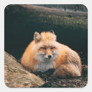 Rood slipje vierkante sticker