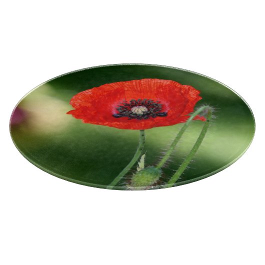 Rood snijbord voor papaverzaad snijplank (Hoek)