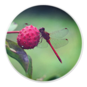 Rood snoepje op Dogwood Fruit Keramische Knop