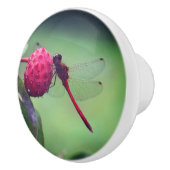 Rood snoepje op Dogwood Fruit Keramische Knop (Rechts)