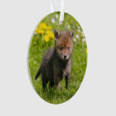 Rood spoellak Wilde baby Ornament (voorkant)