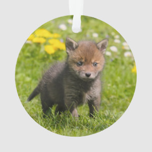 Rood spoellak Wilde baby Ornament