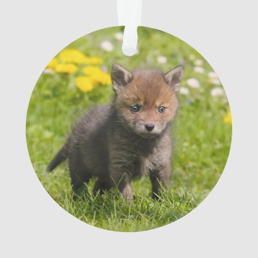 Rood spoellak Wilde baby Ornament (achterkant)