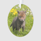 Rood spoellak Wilde baby Ornament (voorkant)