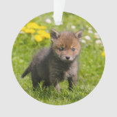 Rood spoellak Wilde baby Ornament (voorkant)