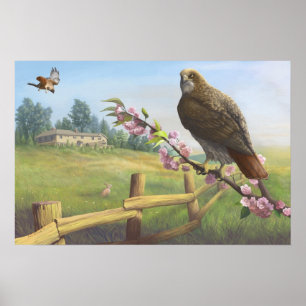 Rood-staarten op baldaat afdrukken poster