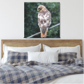 Rood staarthavik (achter) Canvas Print (Insitu (Slaapkamer))