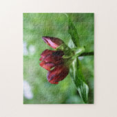 Rood-tandventilator in Bloom Orton-effect Legpuzzel (Verticaal)