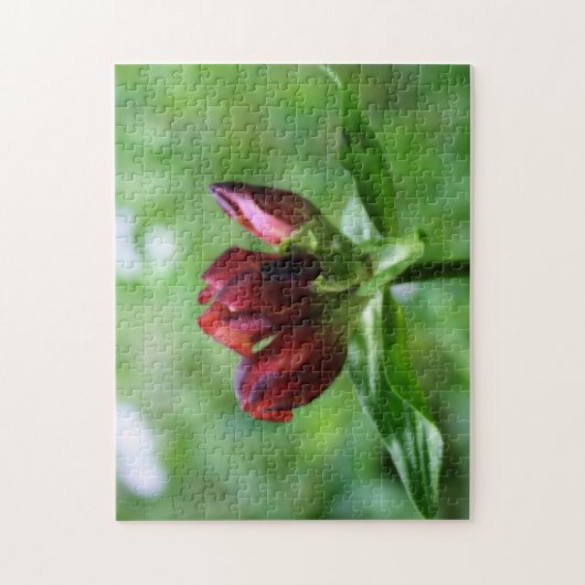 Rood-tandventilator in Bloom Orton-effect Legpuzzel (Verticaal)