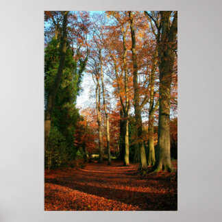 Rood tapijtcanvas en Poster afdrukken