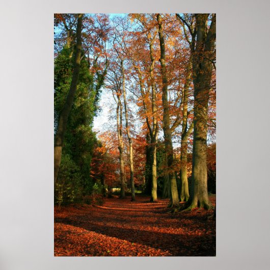 Rood tapijtcanvas en Poster afdrukken (Voorkant)