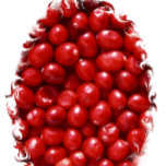 Rood Theedoek<br><div class="desc">Kleurenfoto van rode veenbessen.</div>