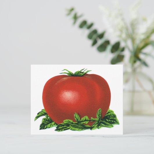  Rood Tomaat, groenten en fruit Briefkaart (Staand voorkant)